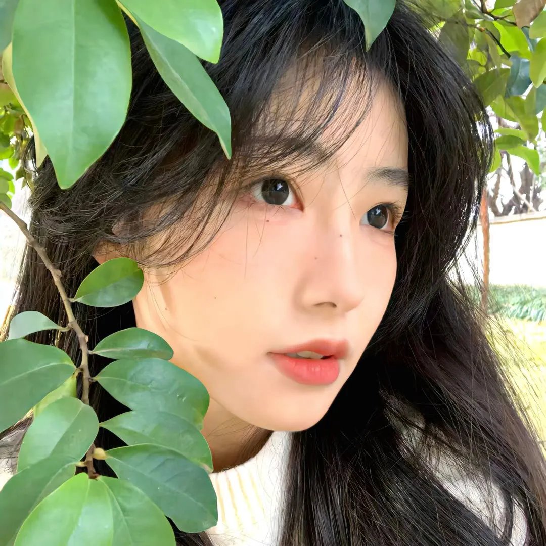 我们的英摇时光